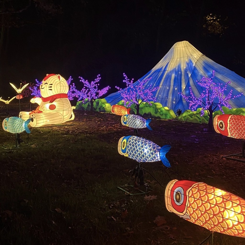 l'odyssée lumineuse parc floral de paris