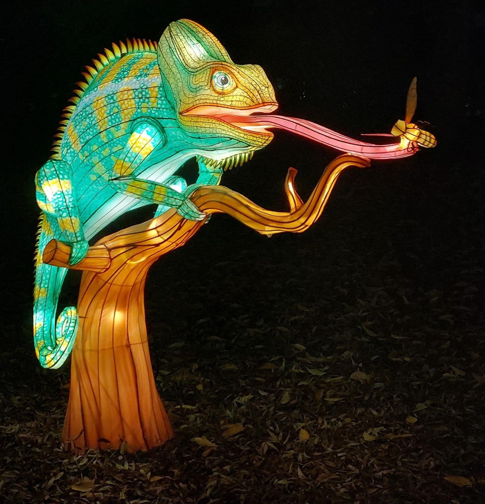 l'odyssée lumineuse parc floral de paris