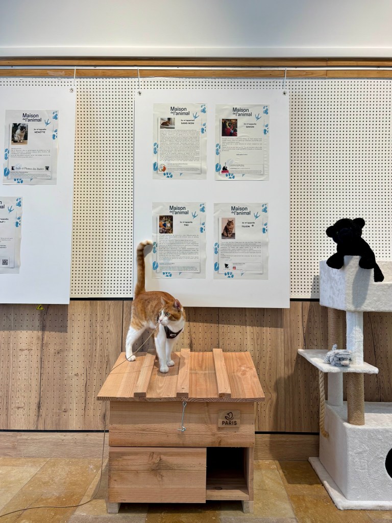 maison de l'animal paris 12