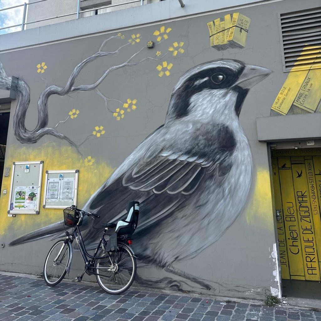 bibliothèques paris 12