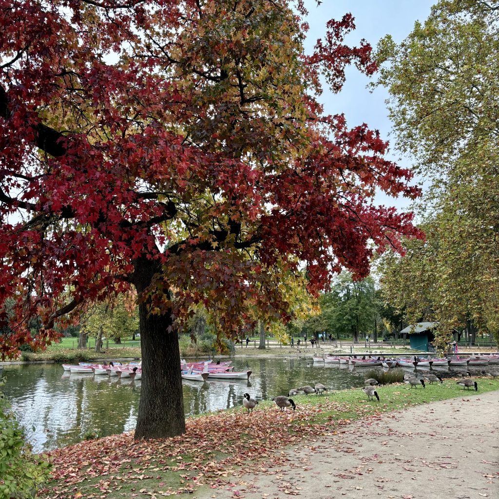 que faire cet automne dans le 12ème arrondissement de Paris